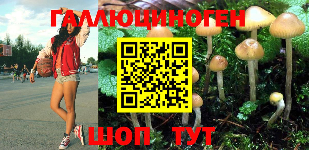 Псилоцибиновые грибы прущие грибы Курчалой