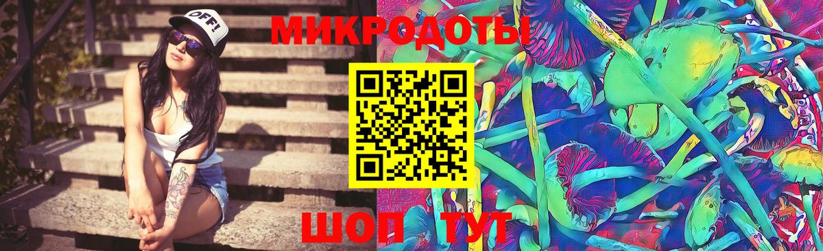 Псилоцибиновые грибы мухоморы  Вход с VPN  дарнет шоп  Курчалой 
